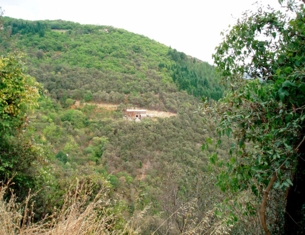moulin-deloin