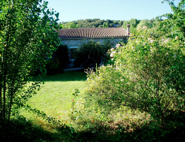 pommier-jardin