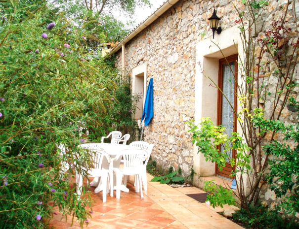 pommier-terrasse